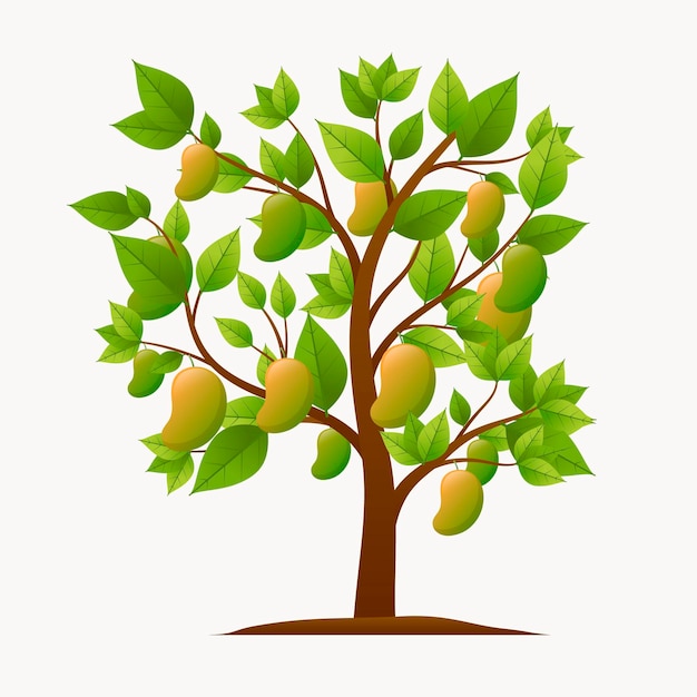 Free Vector | Botanical mango tree illustration