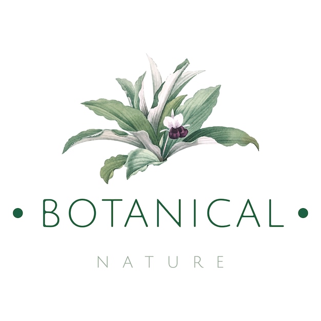 Download Free Botanical Logo Images Free Vectors Stock Photos Psd Use our free logo maker to create a logo and build your brand. Put your logo on business cards, promotional products, or your website for brand visibility.