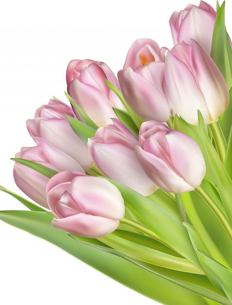 Bouquet of purple tulips. | Premium Vector