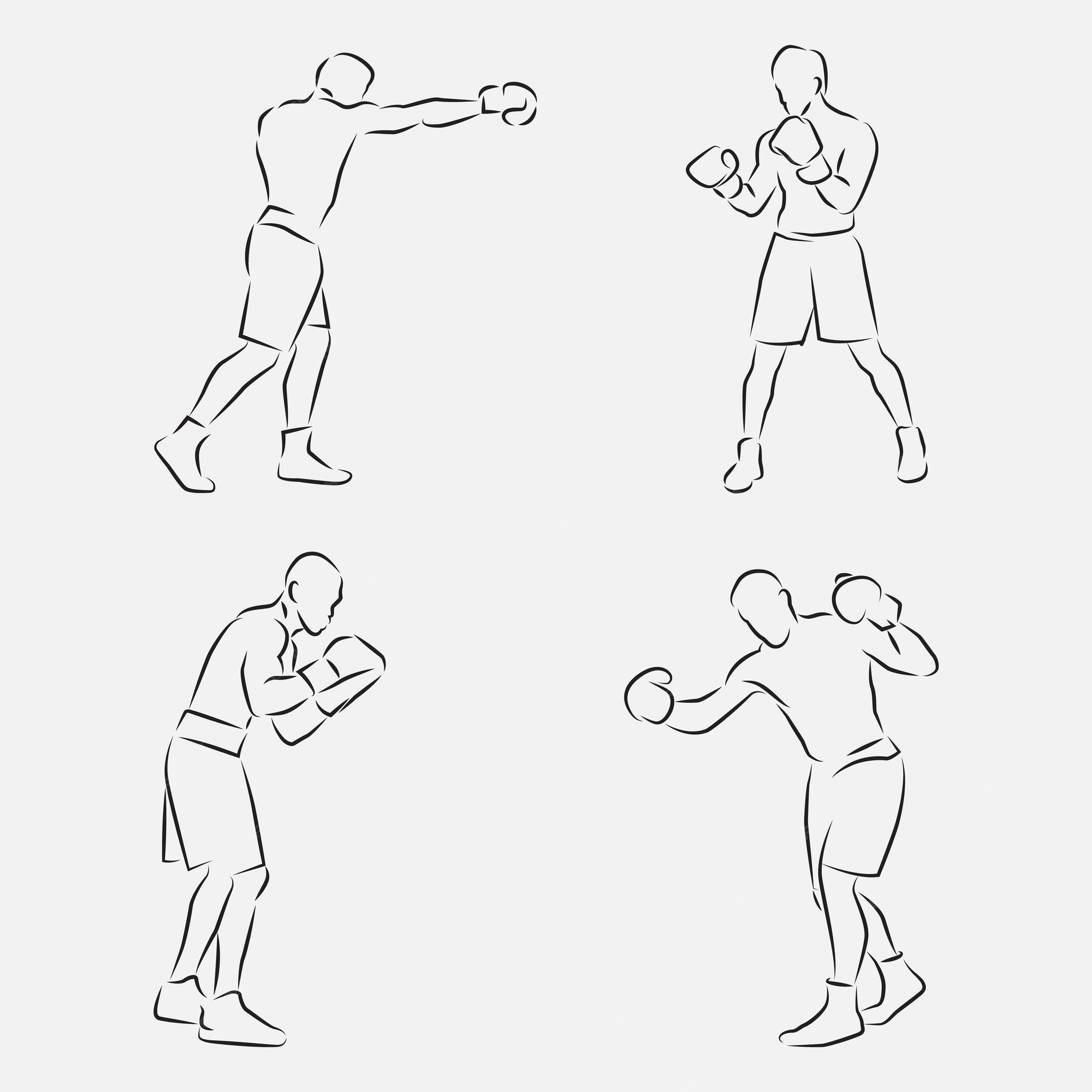 Premium Vector | Boxing vector sketch illustration