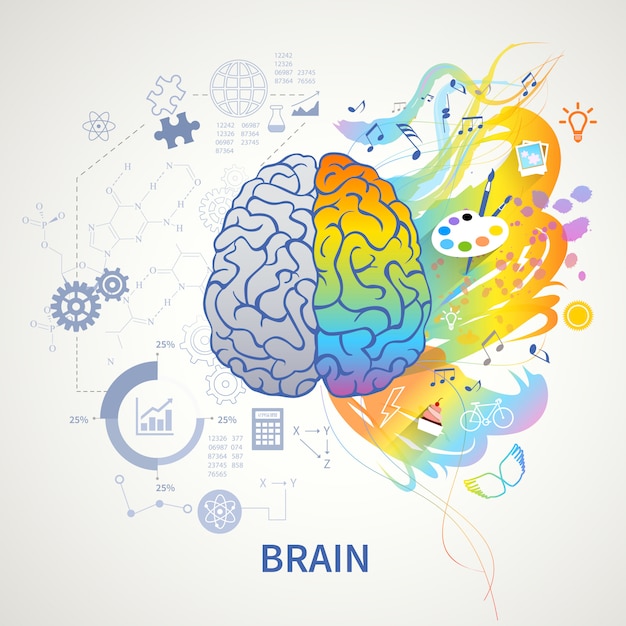 Brain functions concept infographic symbolic depiction with left side logic science mathematics right arts