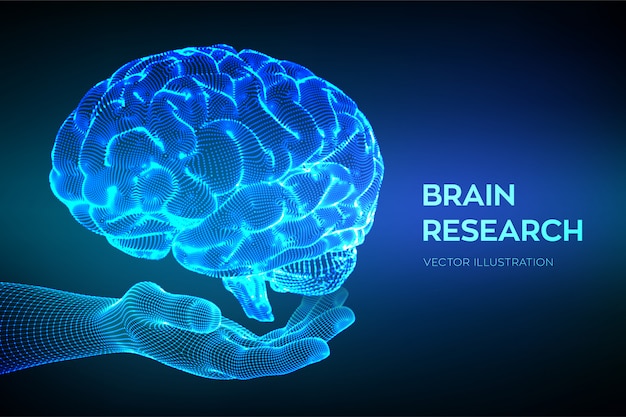 手に脳。人間の脳の研究。神経網。 | 無料のベクター