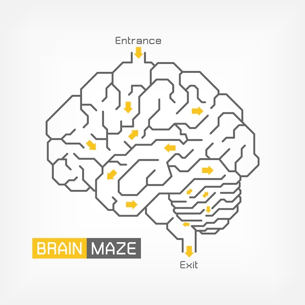 Brain maze. creative idea concept. outline of cerebrum cerebellum and brainstem Premium Vector