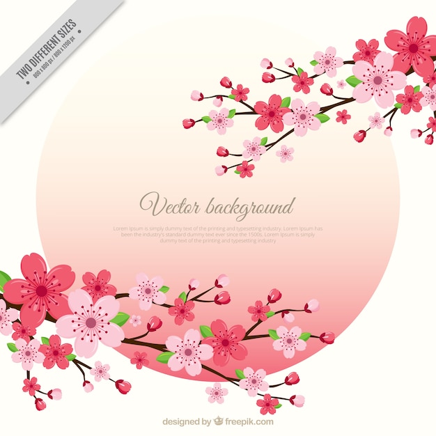 Branches of cherry blossoms background