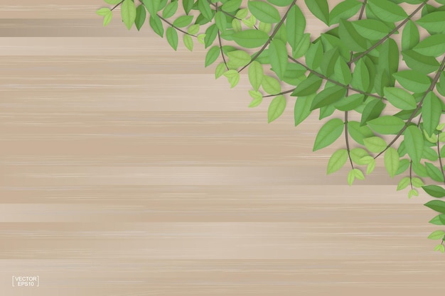 茶色の木のテクスチャの背景に緑の葉の枝 ベクトルイラスト プレミアムベクター