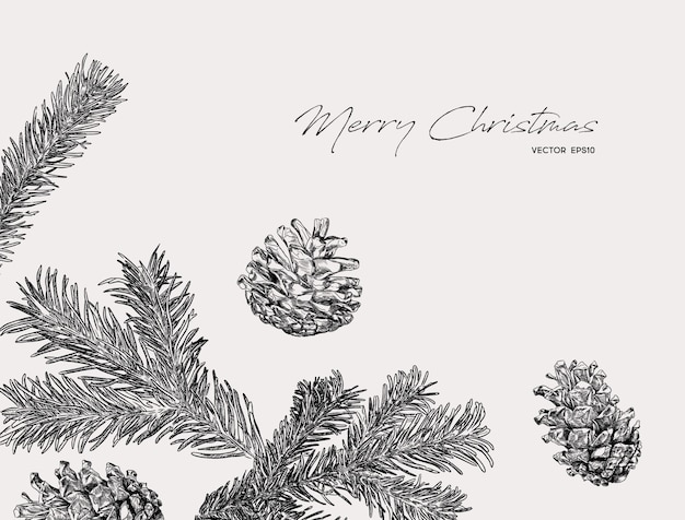 枝と松ぼっくりクリスマスイラスト プレミアムベクター