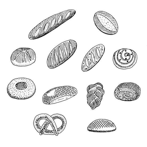 Premium Vector Bread and rolls set, vector illustration, sketch