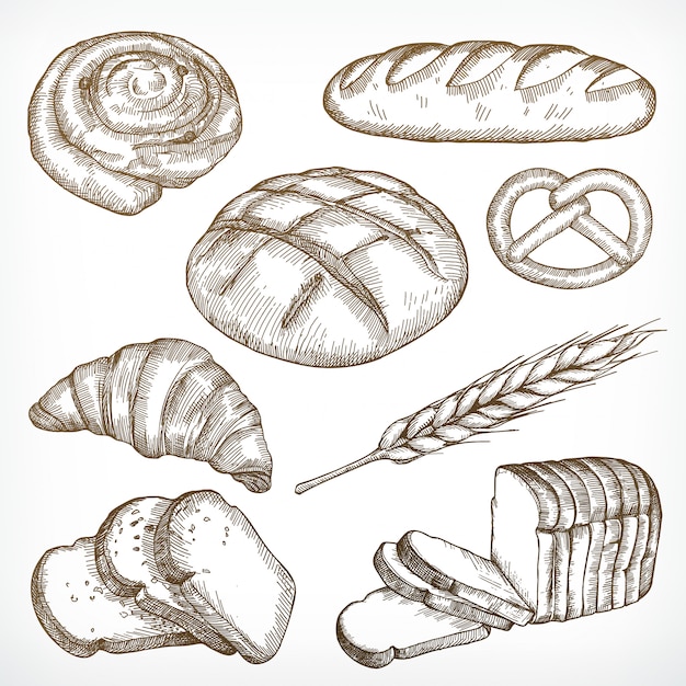 Bread sketches, hand drawing, set | Premium Vector