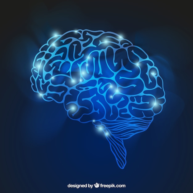 brain illustration vector free download