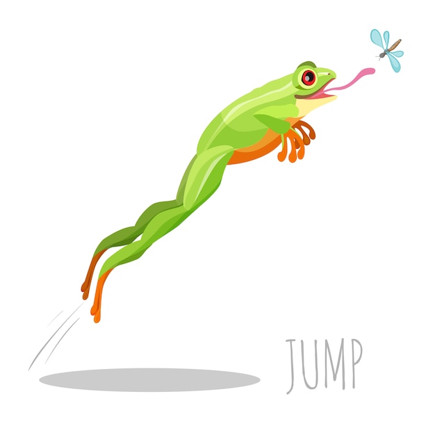 ハエをキャッチするためにジャンプ明るい色のカエル プレミアムベクター
