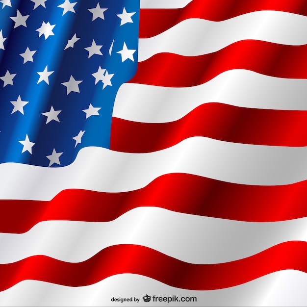 Download Bright USA flag Vector | Free Download