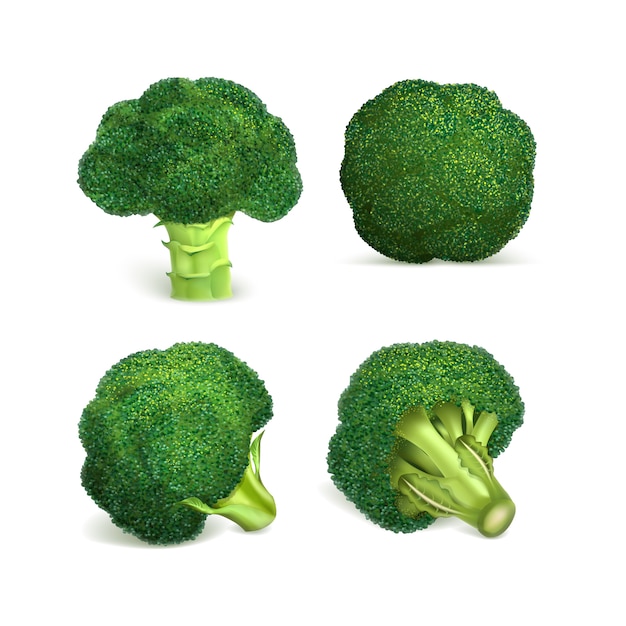 Broccoli Icon Set Premium Vector 0204