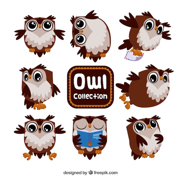 Brown and white cartoon owl set
