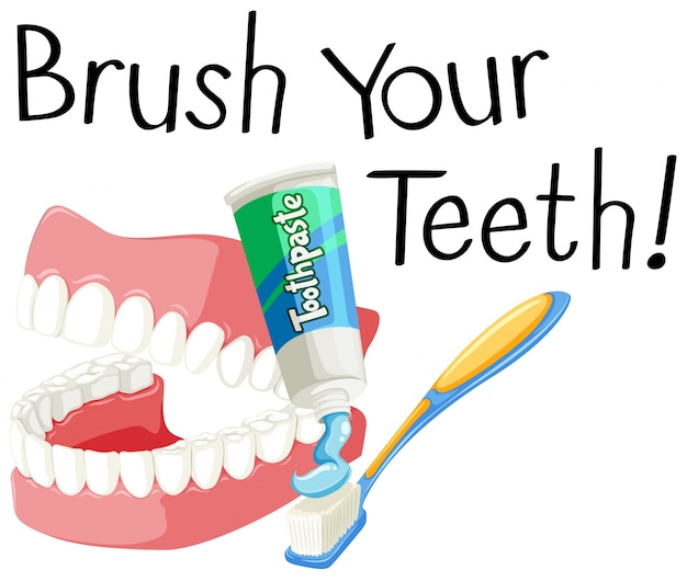 Brush your teeth with toothbrush and paste Vector | Premium Download