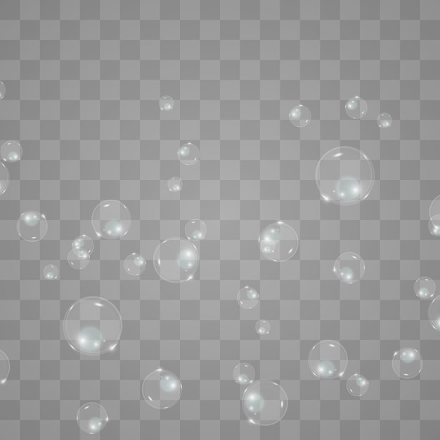 バブル 背景が透明なシャボン玉 プレミアムベクター