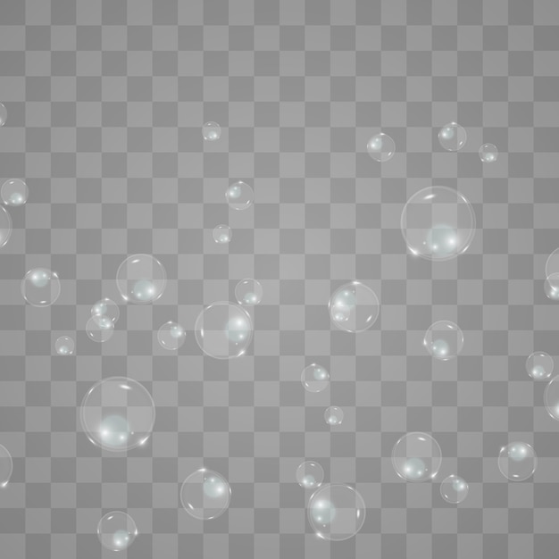 Premium Vector Bubble Soap Bubble On A Transparent Background