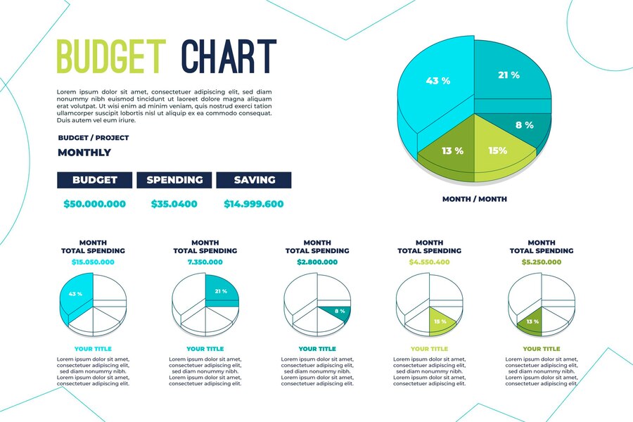 Free Vector | Budget infographic concept