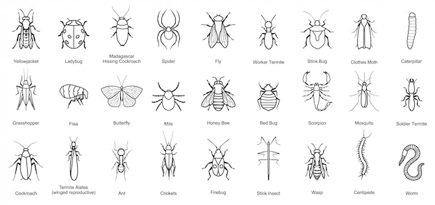 昆虫ラインのバグは アイコンを設定します イラスト昆虫カブトムシ 線アイコンのバグを分離し カブトムシを飛ぶ プレミアムベクター