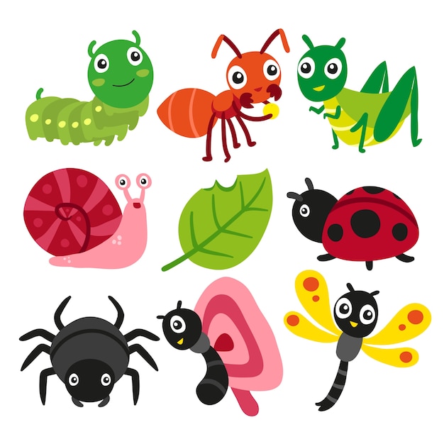 Bugs collection, insect vector design Vector | Premium Download