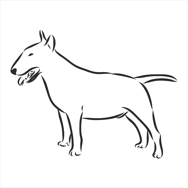 Premium Vector | Bull terrier, hand drawn doodle, sketch in pop art ...