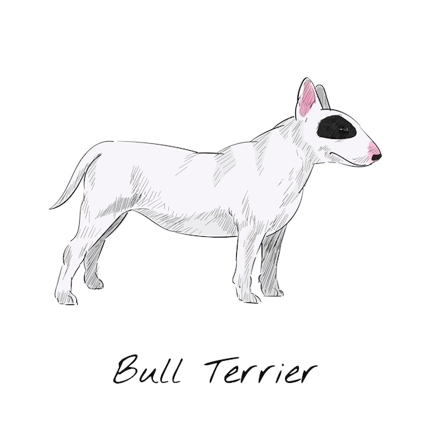 Free Free 290 Bull Terrier Svg Free SVG PNG EPS DXF File
