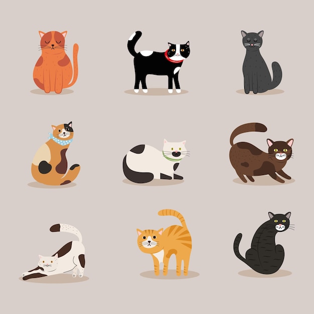 Download Premium Vector Bundle Of Cats Differents Colors Mascots Characters