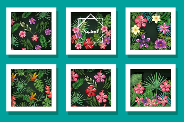 Premium Vector Bundle Of Flowers And Leafs Tropicals