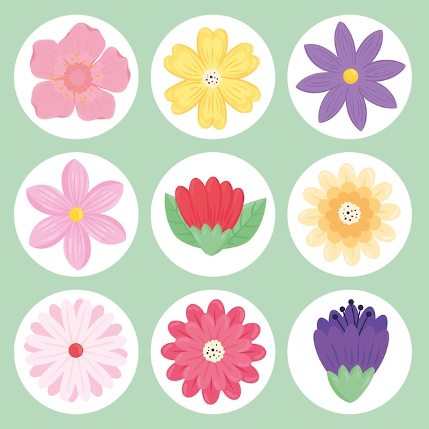 9つの美しさの花の束春シーズンセットアイコンイラスト プレミアムベクター