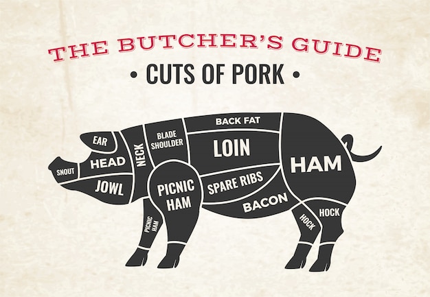 豚のシルエットと古い紙の上の豚肉の切り身の肉屋図 無料のベクター