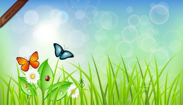 Buterflies on grass illustration