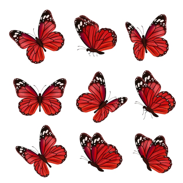 Featured image of post Butterfly Nature Flower Realistic Drawings - Raising ducks types of butterflies beautiful butterflies funny duck funny jokes.