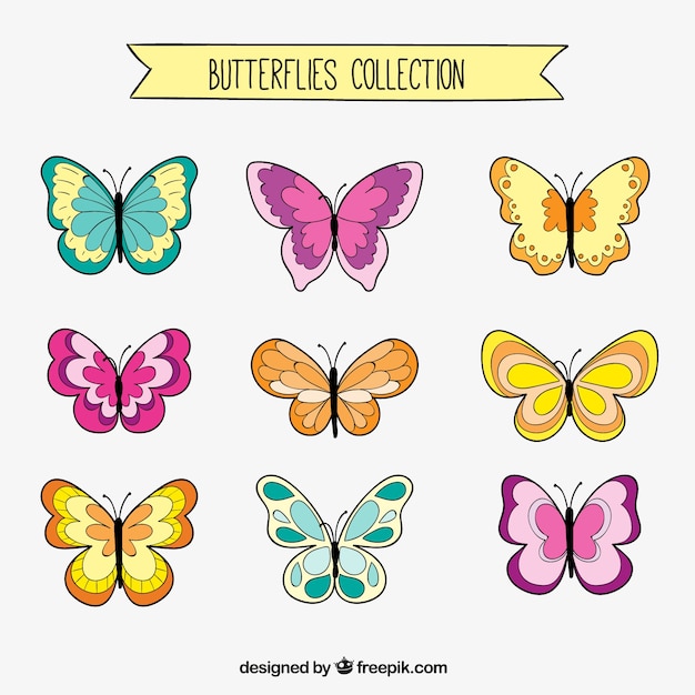 Butterflies drawings set