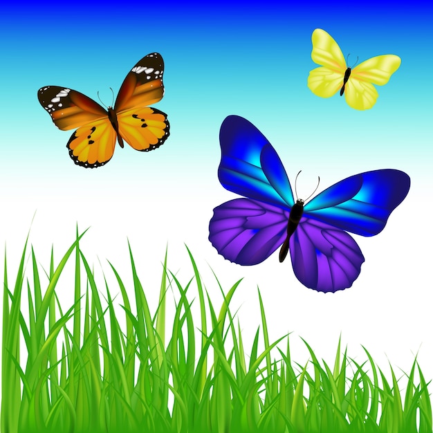 Premium Vector | Butterflies and green grass with gradient mesh ...