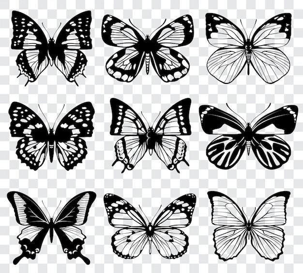 Download Butterflies isolated on transparent checkered background ...