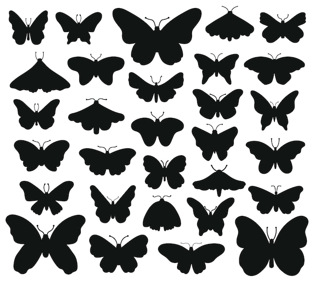 蝶のシルエット 手描きの蝶 昆虫のグラフィックを描画します 黒の図面の蝶のシルエットイラストセット 昆虫蝶黒いシルエット 手描きのフォーム プレミアムベクター