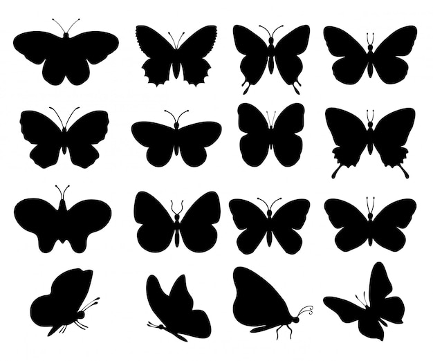 モノクロ 蝶 イラスト シルエット 最高の壁紙のアイデアcahd