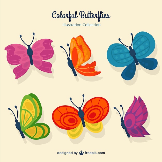 Butterflies with colored wings