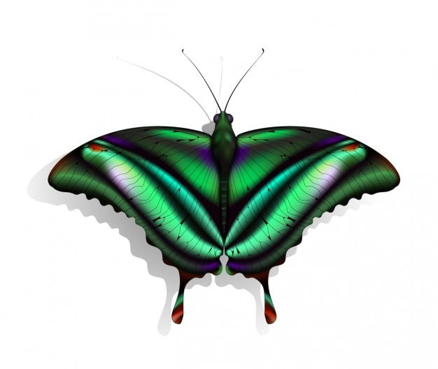 Free Free 327 Butterfly Svg 3D SVG PNG EPS DXF File