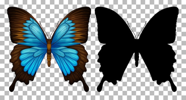 透明な背景に蝶とそのシルエット 無料のベクター