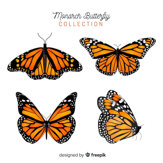 Free Free 202 Butterfly Svg Vector Free SVG PNG EPS DXF File