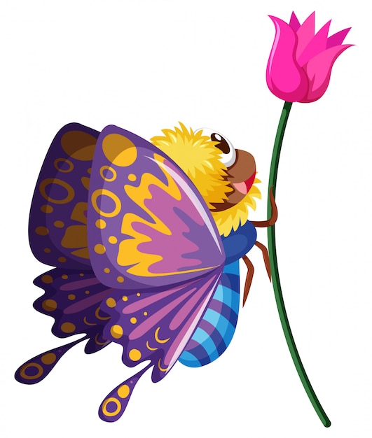 Free Free 184 Butterfly Flower Svg Free SVG PNG EPS DXF File