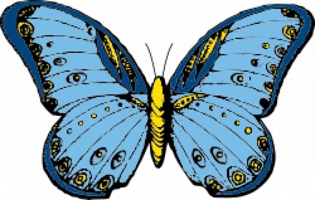 Butterfly in blues with yellow body Vector | Free Download