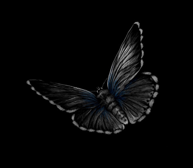 黒の背景に蝶します ベクトルイラスト プレミアムベクター