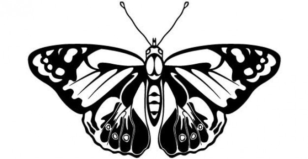 Butterfly outline in bold lines Vector | Free Download