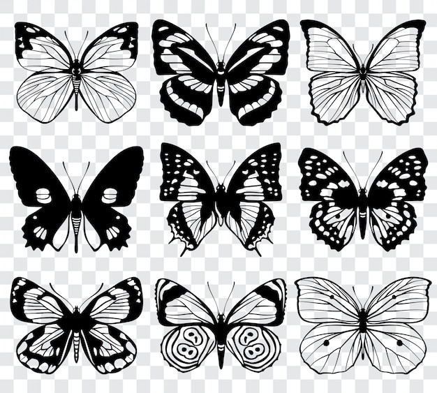 バタフライシルエットマクロコレクション 蝶のセット 黒いシルエットのイラスト プレミアムベクター