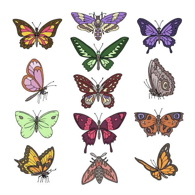 Download Butterfly vector colorful insect flying for decoration and ...
