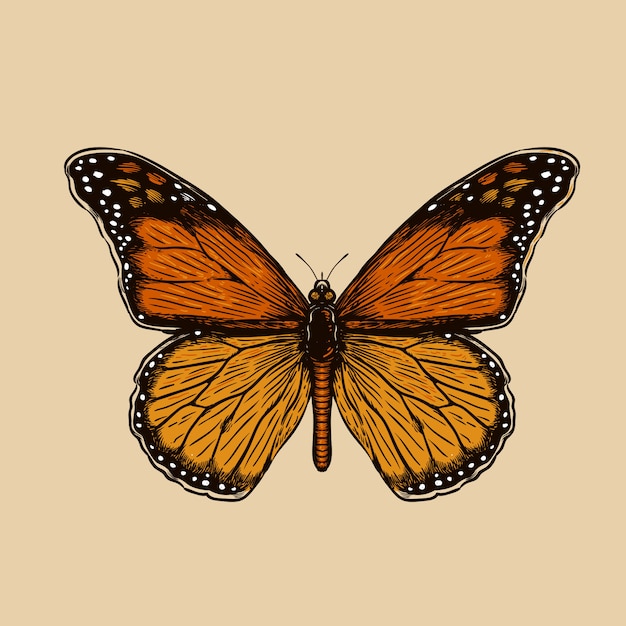 Premium Vector Butterfly Vector Engraving Illustration