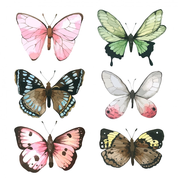 Free Free 223 Watercolor Butterfly Svg SVG PNG EPS DXF File