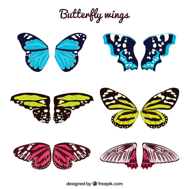 Download Free Vector | Butterfly wings pack