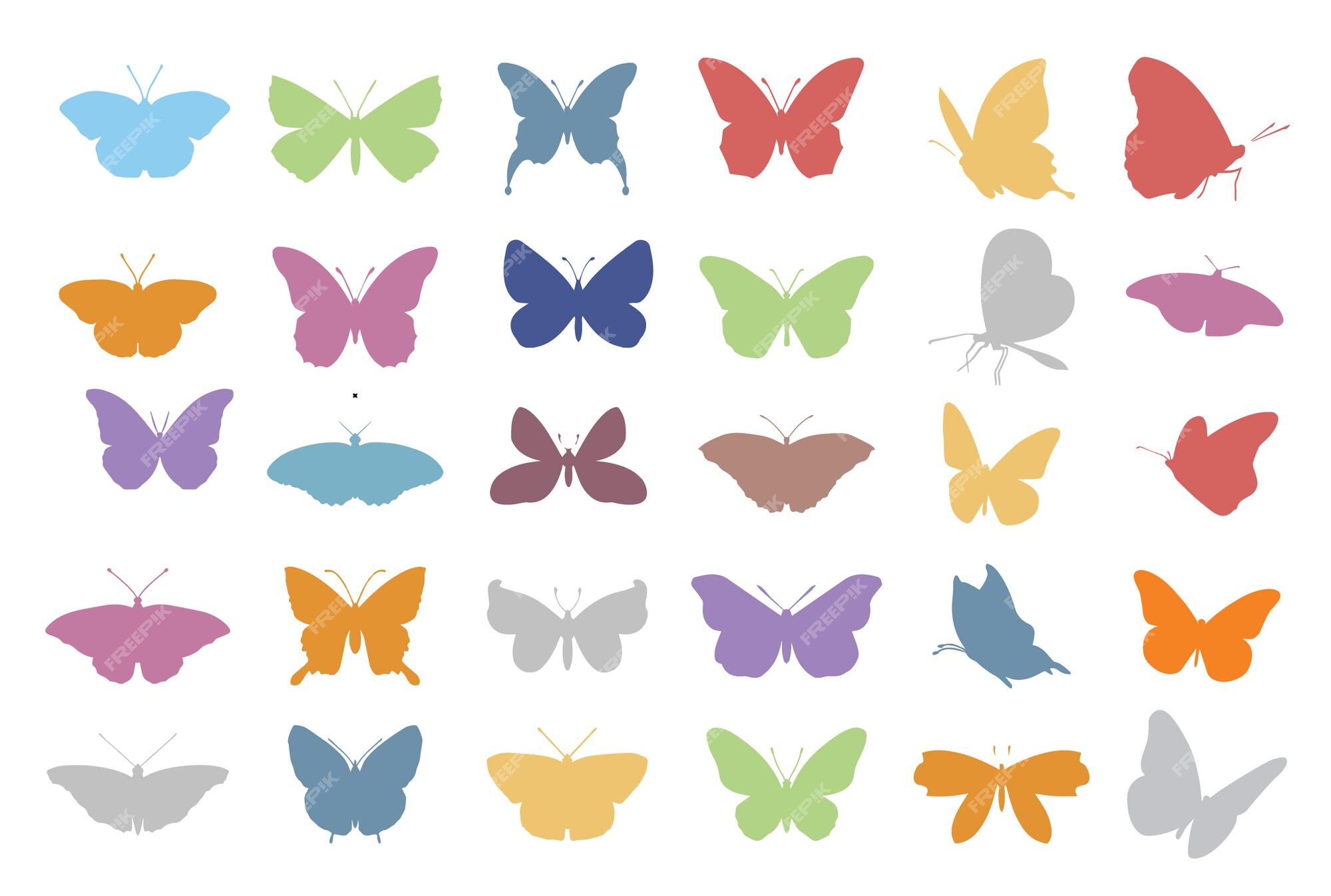 Premium Vector | Butterfly